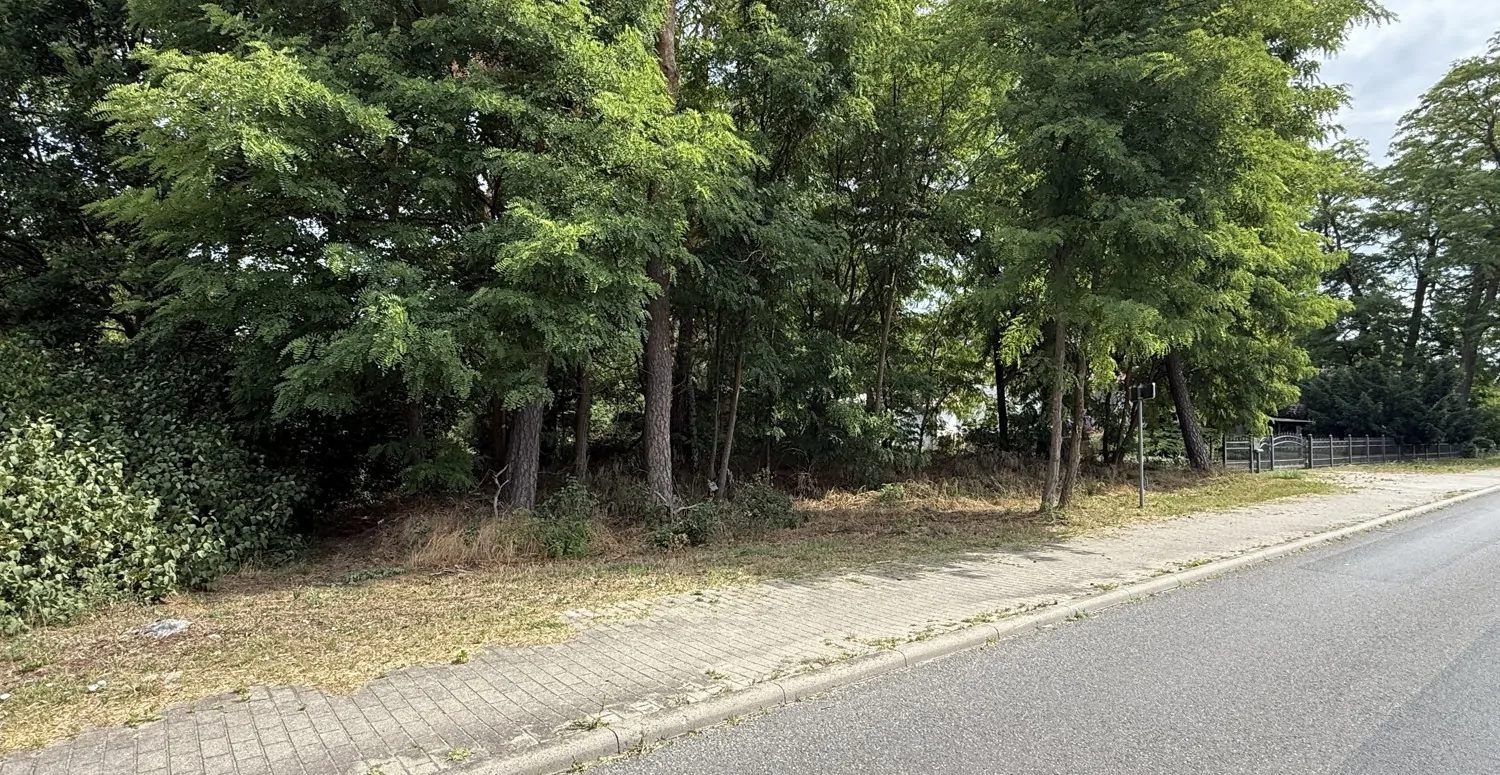 Bauträgerfreies Baugrundstück in Damsdorf – Ruhige Lage mit Blick ins Grüne