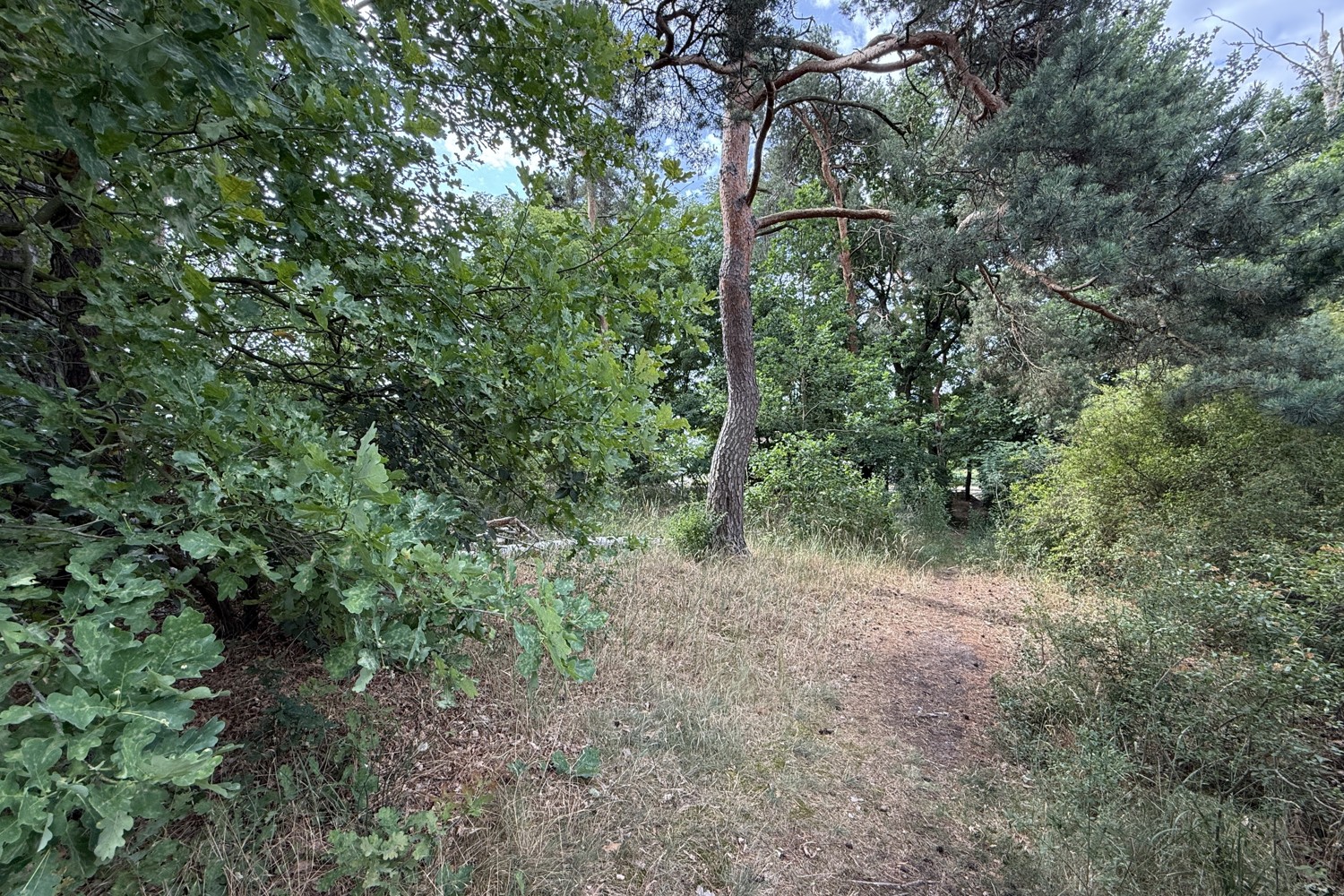 Bauträgerfreies Baugrundstück in Damsdorf – Ruhige Lage mit Blick ins Grüne