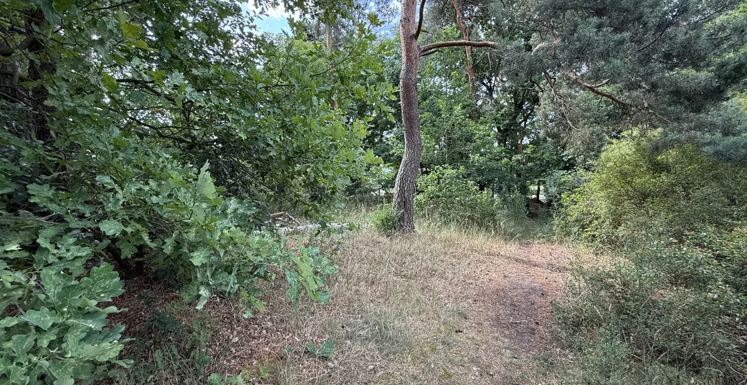 Bauträgerfreies Baugrundstück in Damsdorf – Ruhige Lage mit Blick ins Grüne