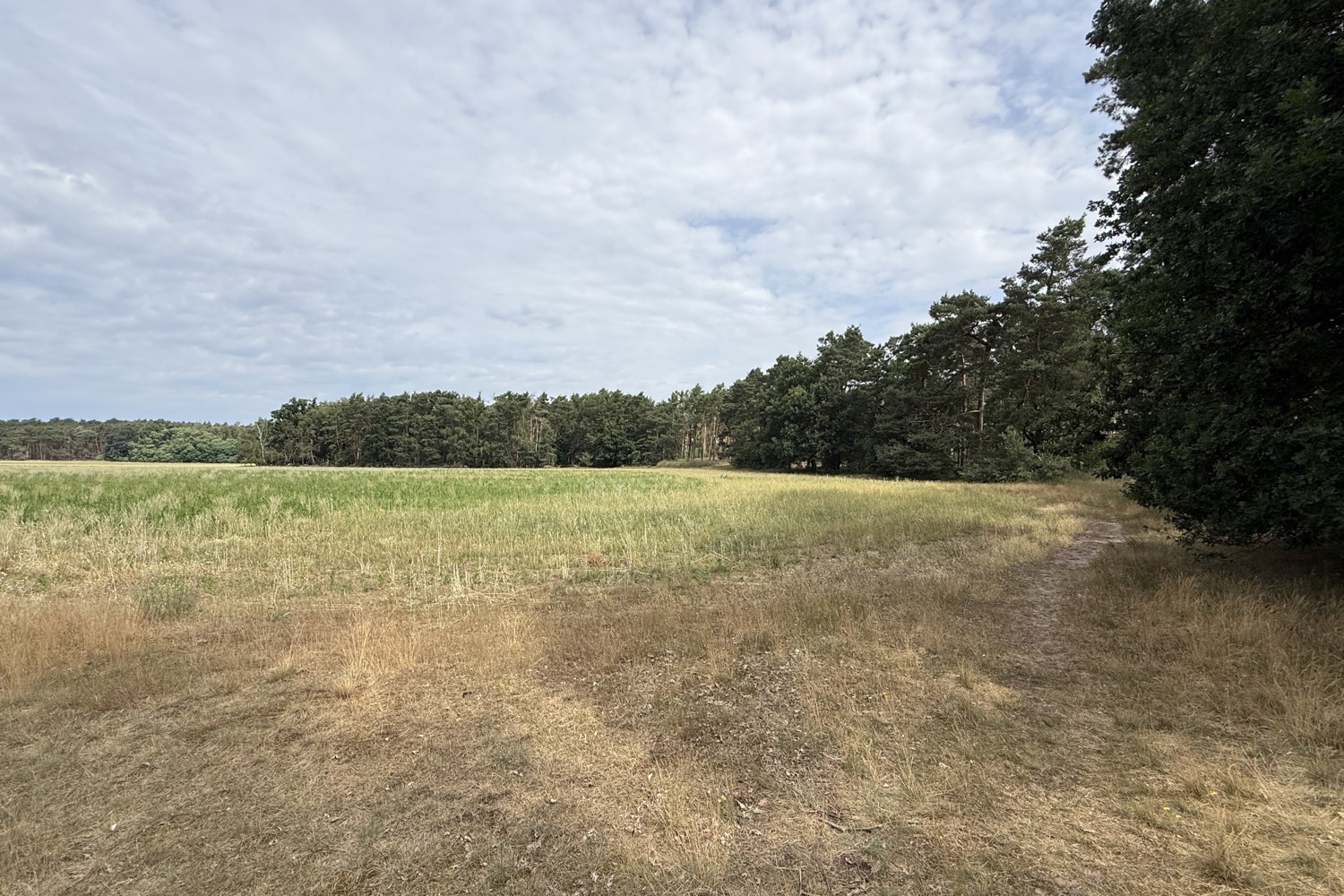 Bauträgerfreies Baugrundstück in Damsdorf – Ruhige Lage mit Blick ins Grüne