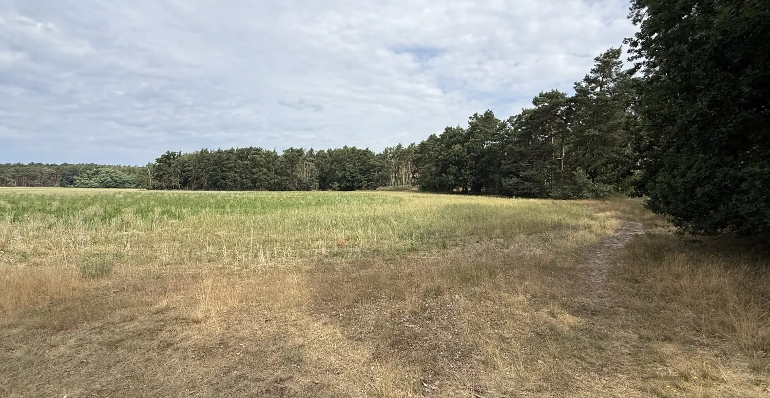 Bauträgerfreies Baugrundstück in Damsdorf – Ruhige Lage mit Blick ins Grüne