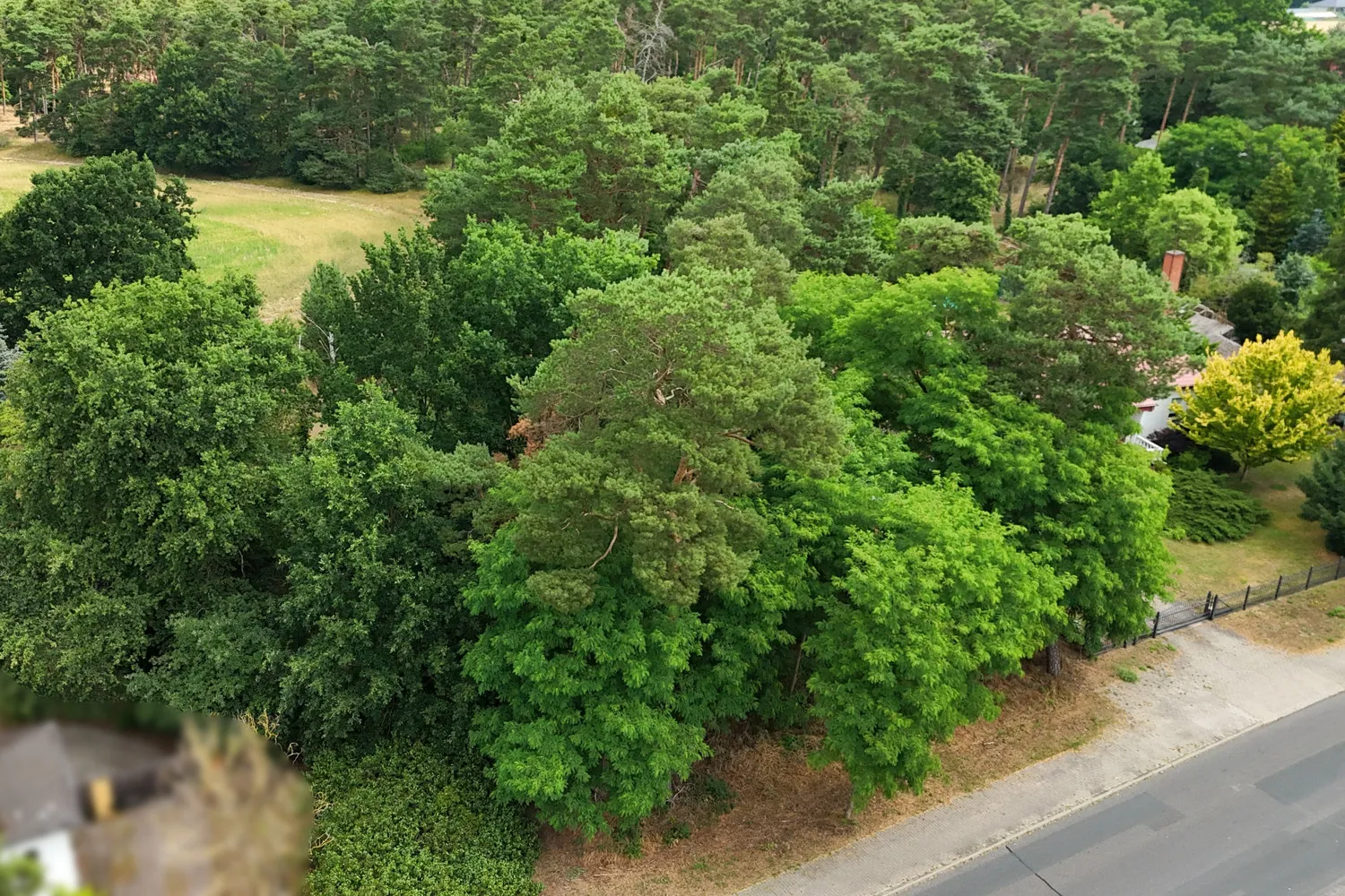 Bauträgerfreies Baugrundstück in Damsdorf – Ruhige Lage mit Blick ins Grüne