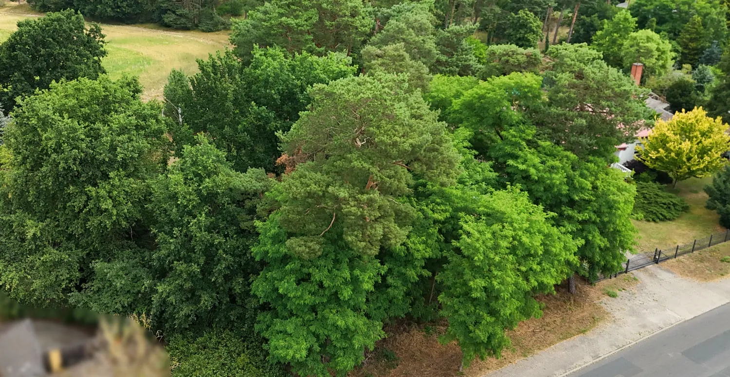 Bauträgerfreies Baugrundstück in Damsdorf – Ruhige Lage mit Blick ins Grüne