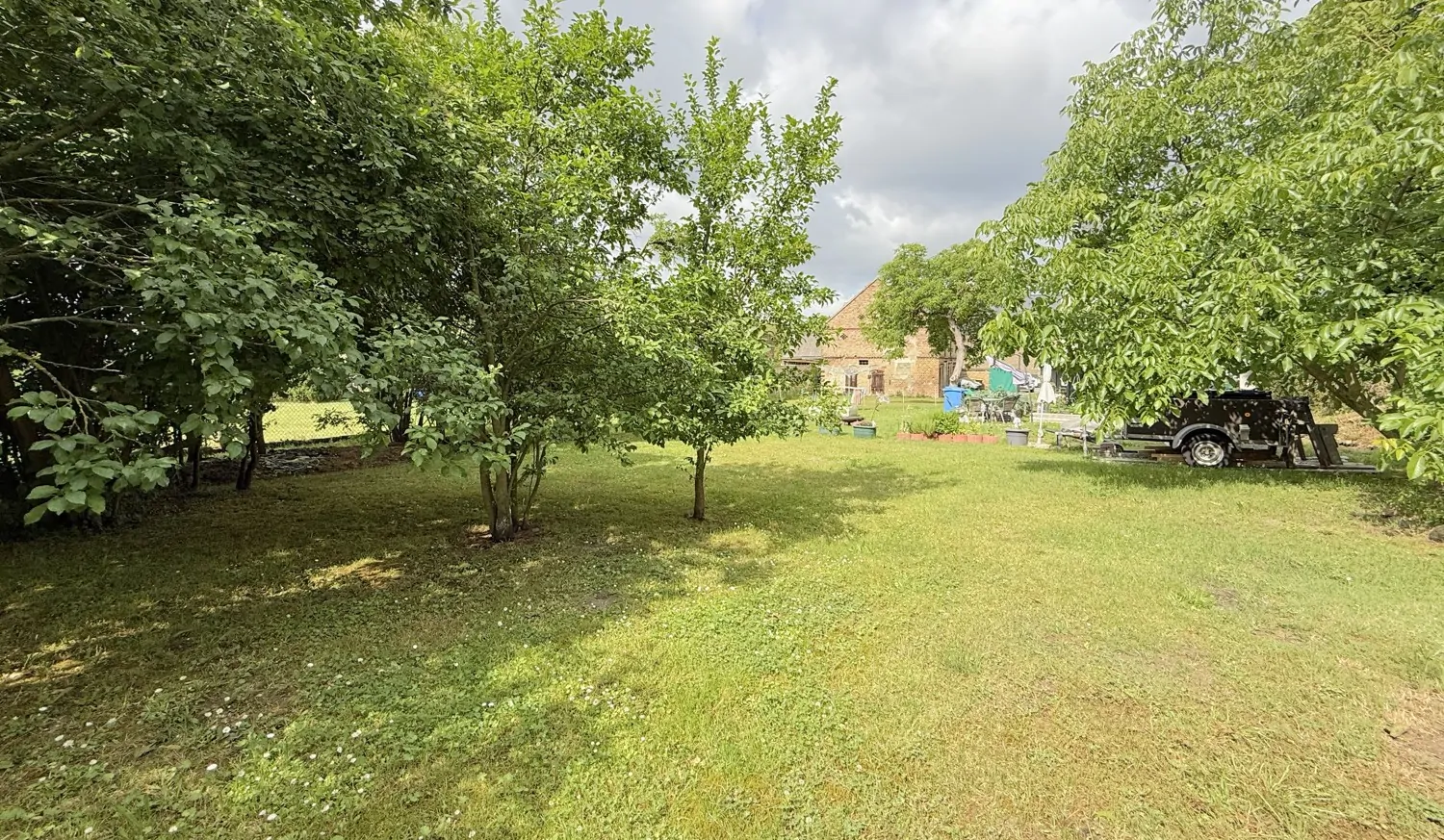 Freifläche im Garten