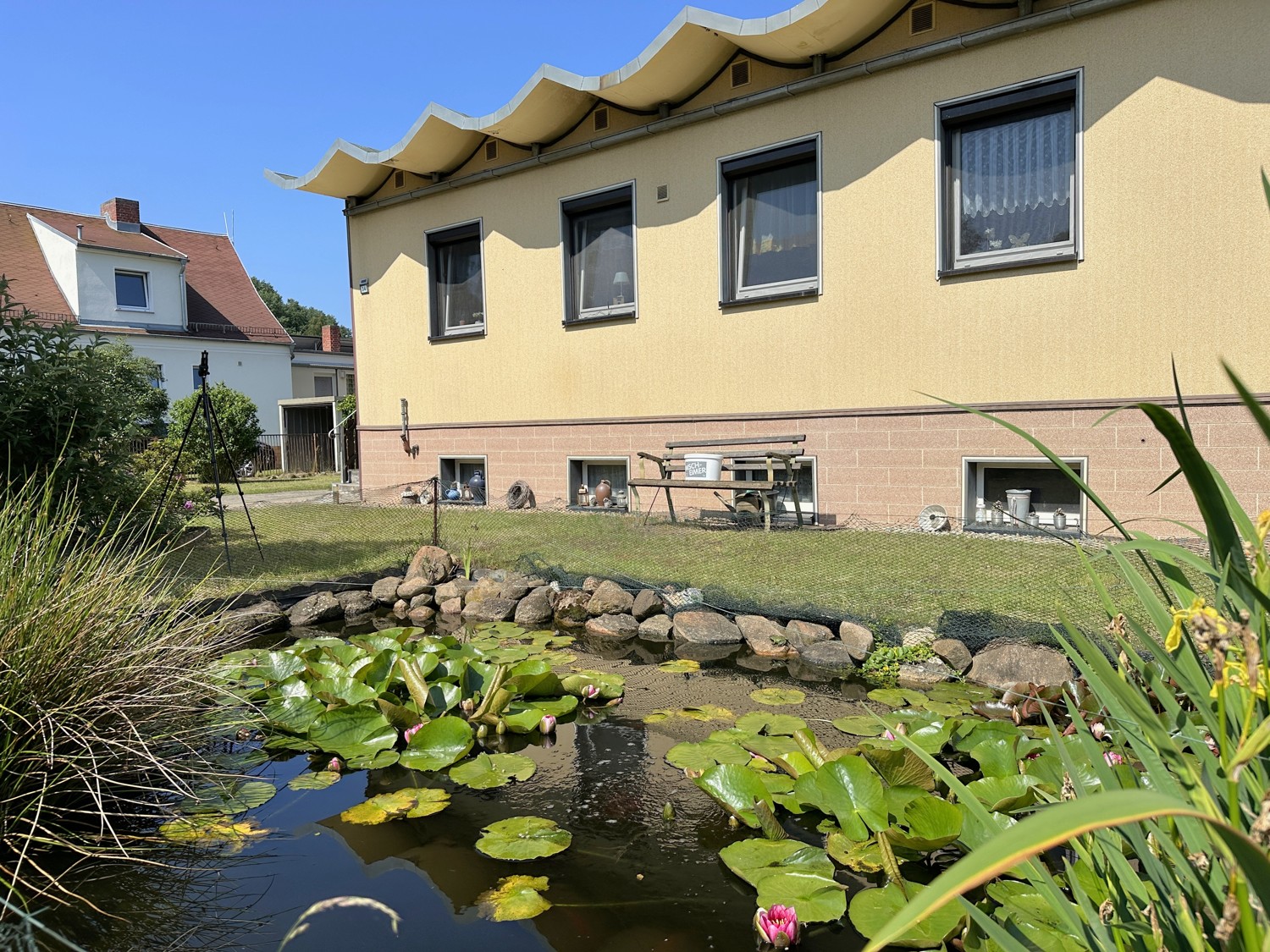 wundervoller Teich im Vorgarten