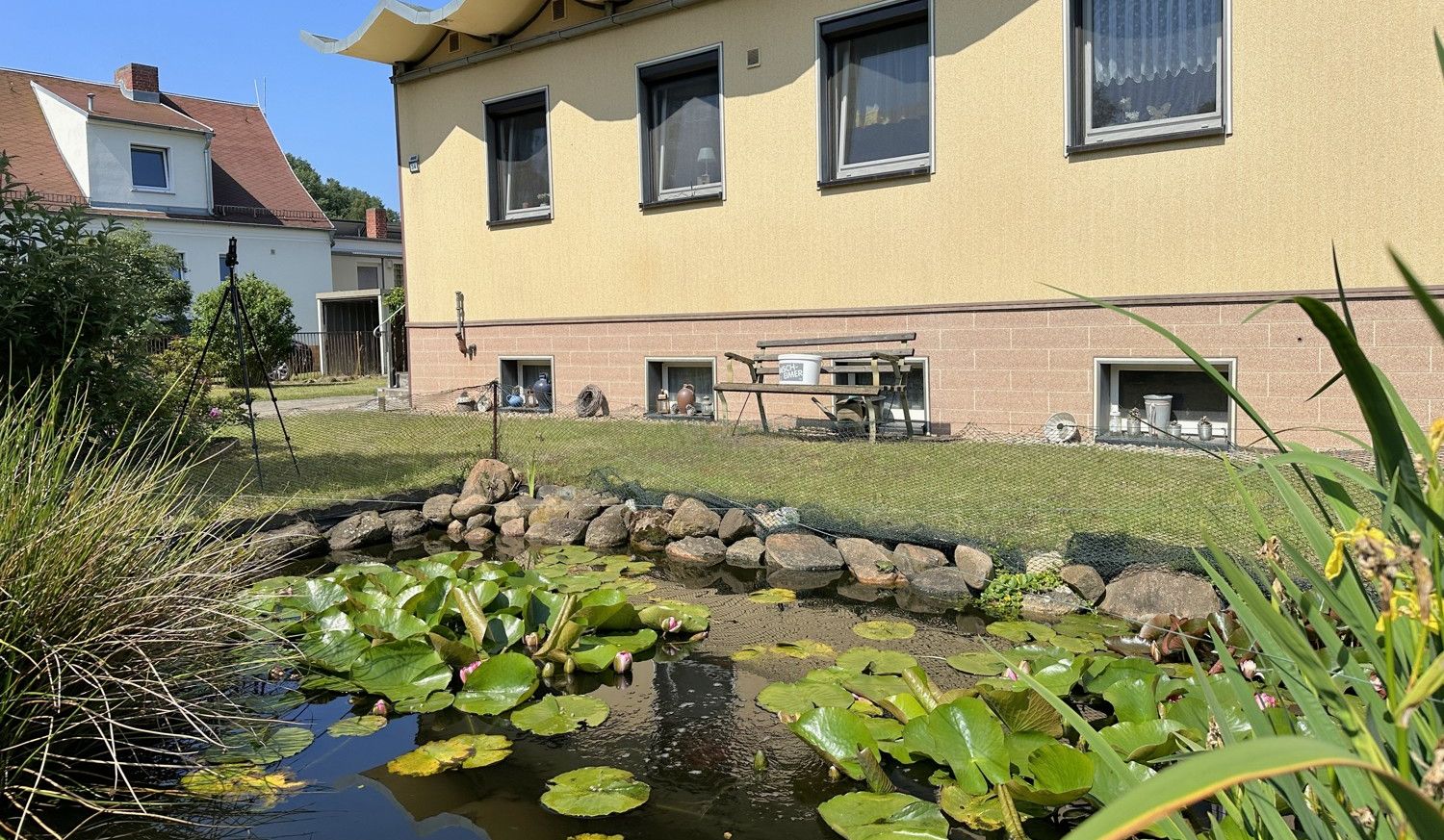 wundervoller Teich im Vorgarten