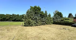 von_poll_real_estate_property_25165040_image_18