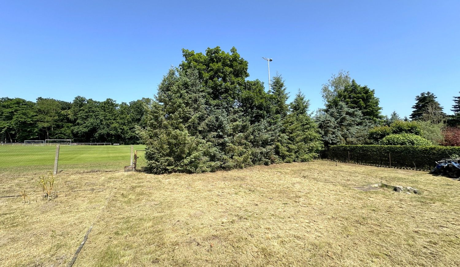 große Freifläche im  Garten