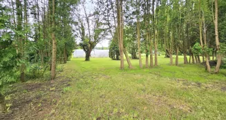 von_poll_real_estate_property_25165056_image_23