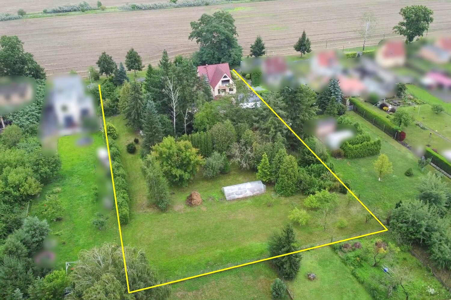 gesamtes Grundstück