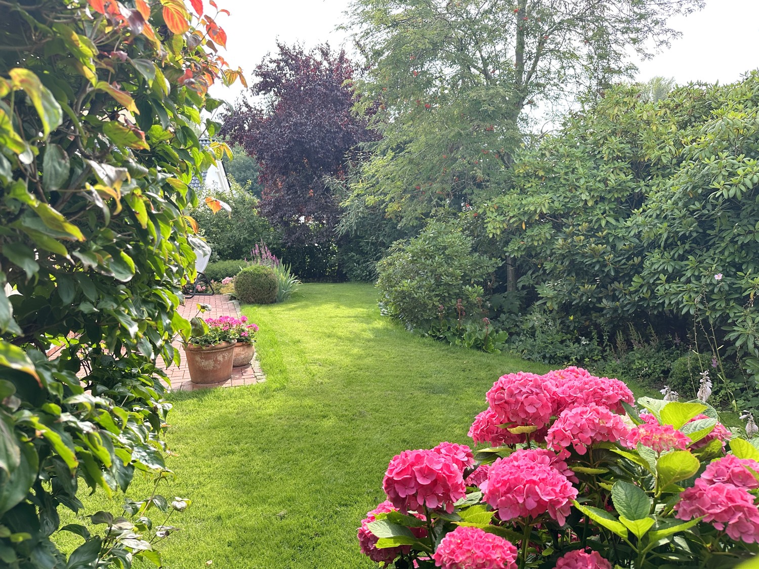 wunderschöner Garten