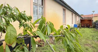 von_poll_real_estate_property_25165048_image_12