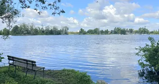 von_poll_real_estate_property_25165058_image_19