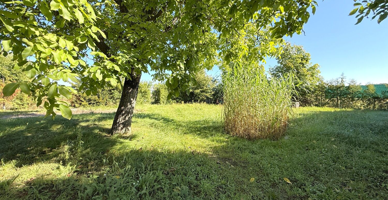 großer Garten