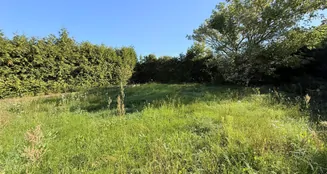 von_poll_real_estate_property_25165061_image_5