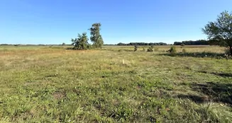 von_poll_real_estate_property_25165061_image_7