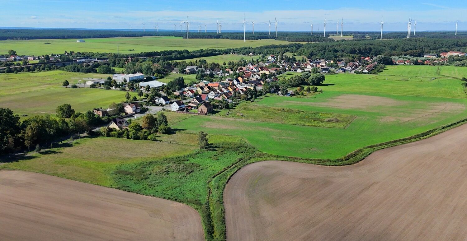 Grebs aus der Vogelperspektive