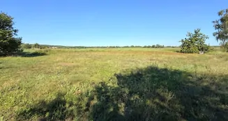 von_poll_real_estate_property_25165061_image_8