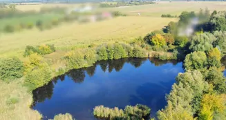 von_poll_real_estate_property_25165063_image_21