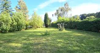 von_poll_real_estate_property_25165063_image_16