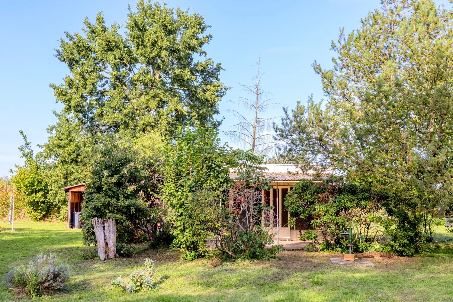 Bungalow II mit Gartenpumpe