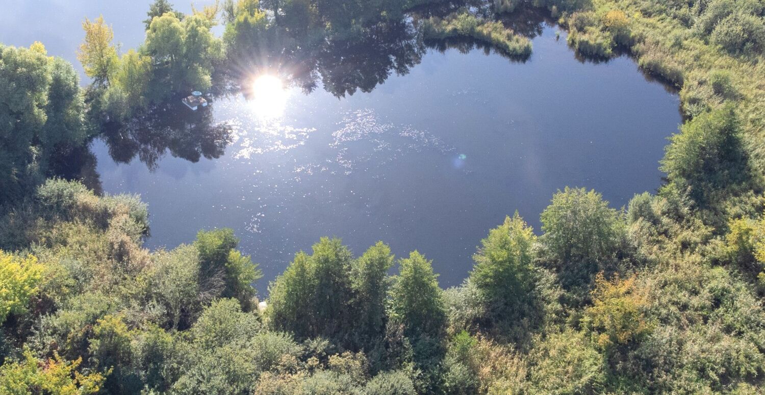 Natur pur