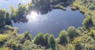 von_poll_real_estate_property_25165063_image_20