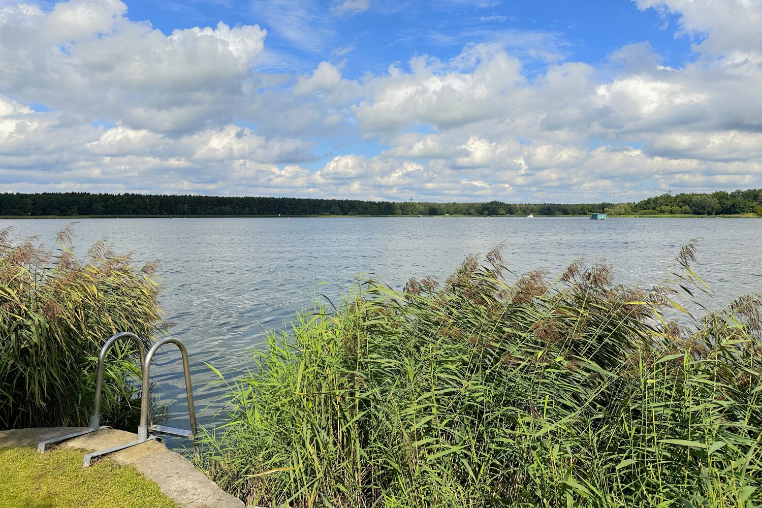 Leiter zum schwimmen
