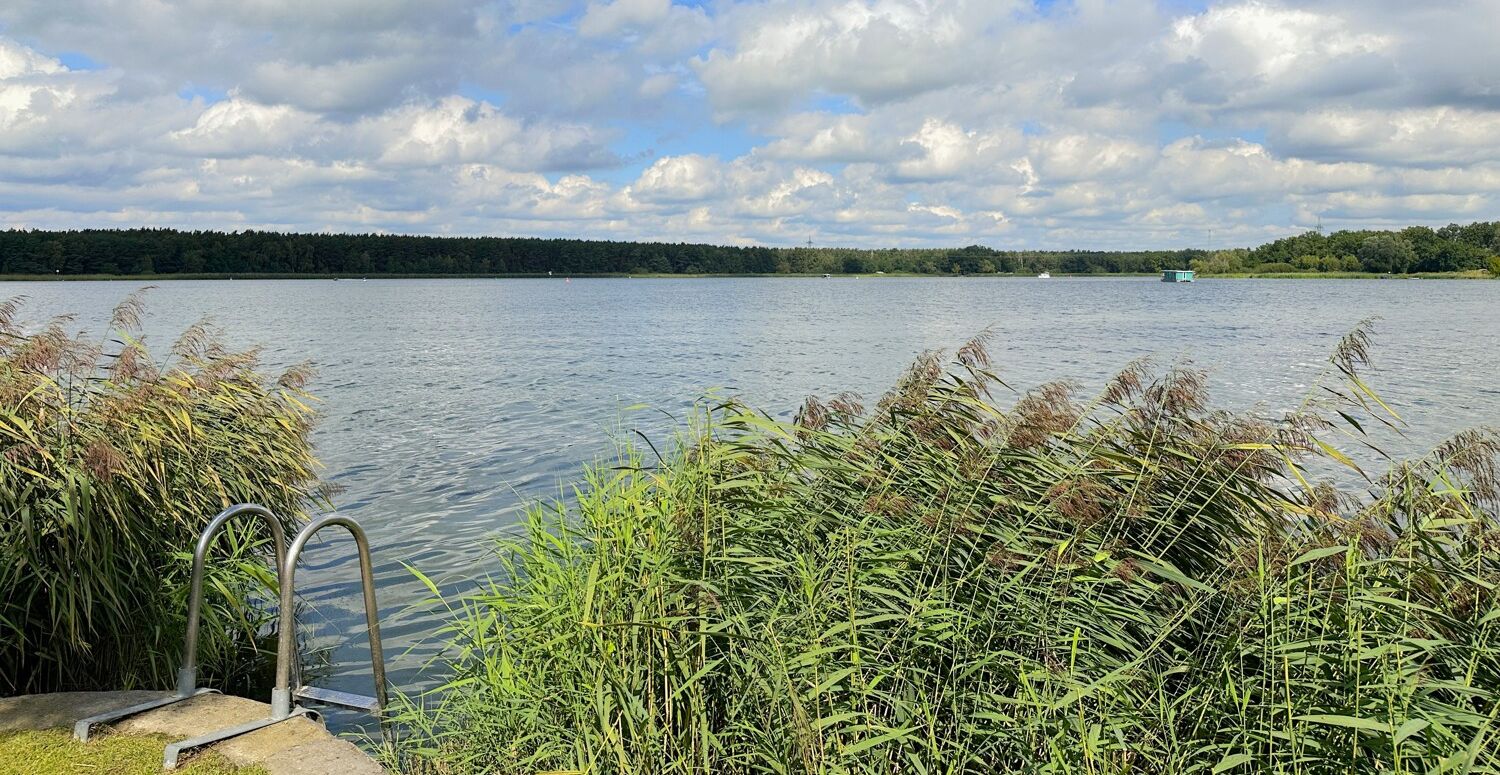 Leiter zum schwimmen