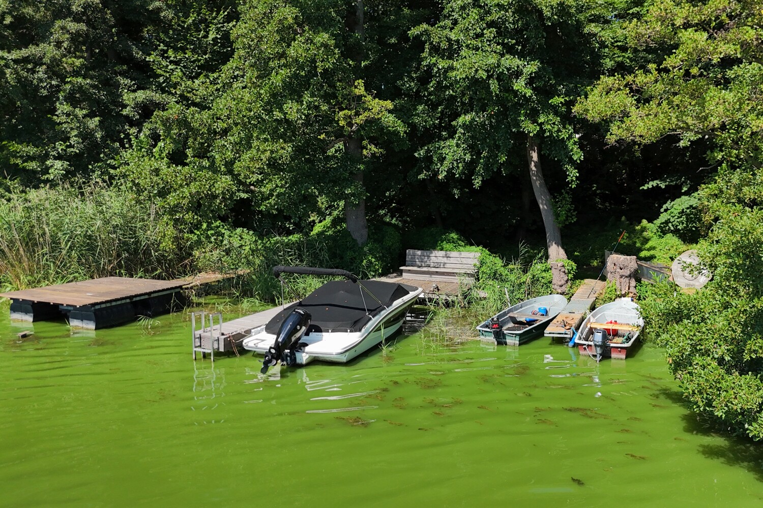 gemeinschaftlicher Bootsliegeplatz