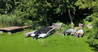 von_poll_real_estate_property_25165054_image_20