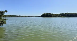 von_poll_real_estate_property_25165054_image_23