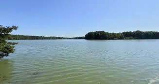 von_poll_real_estate_property_25165054_image_22