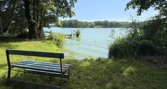 von_poll_real_estate_property_25165054_image_22