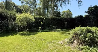 von_poll_real_estate_property_25165054_image_16