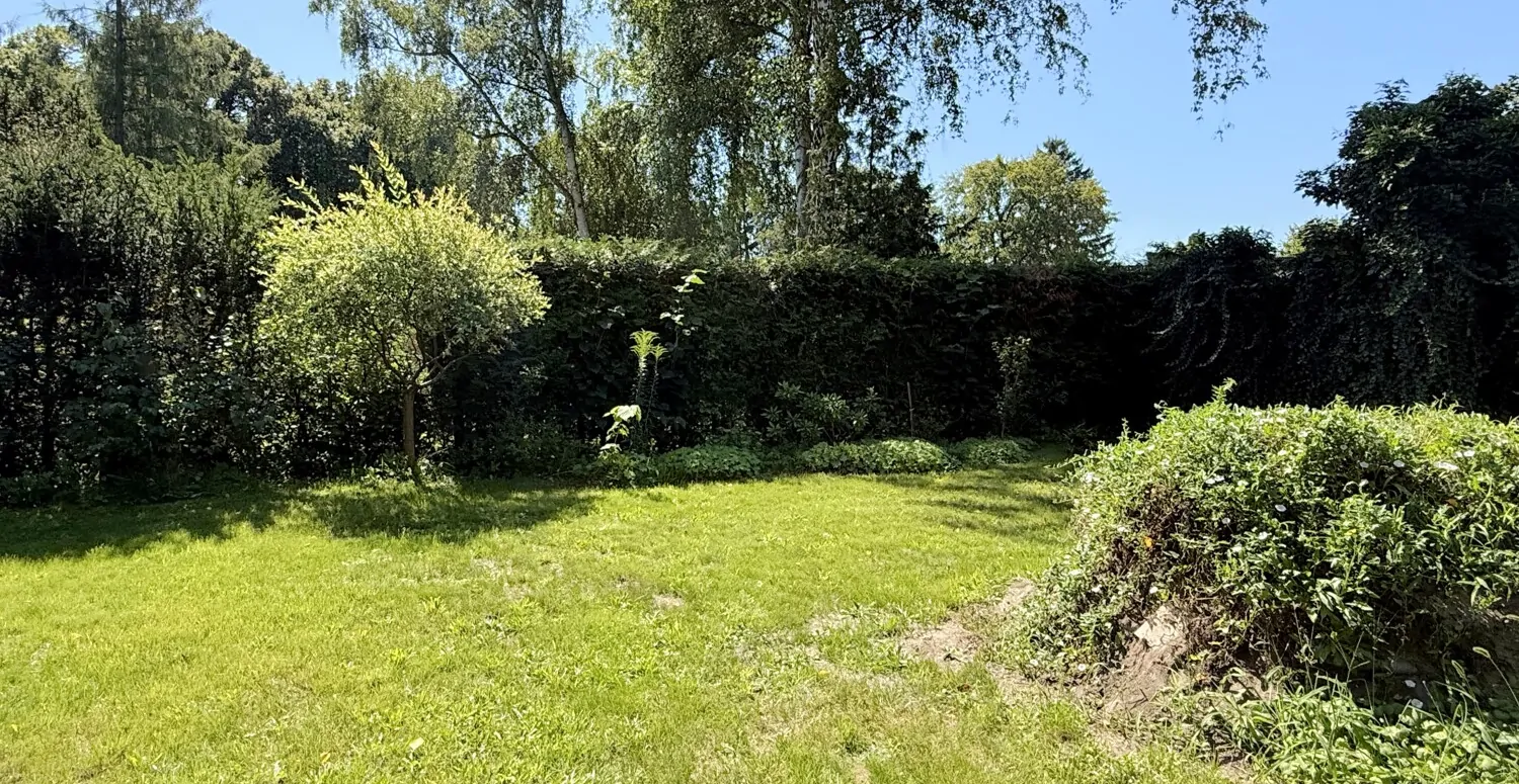 Freifläche im Garten