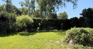 von_poll_real_estate_property_25165054_image_17