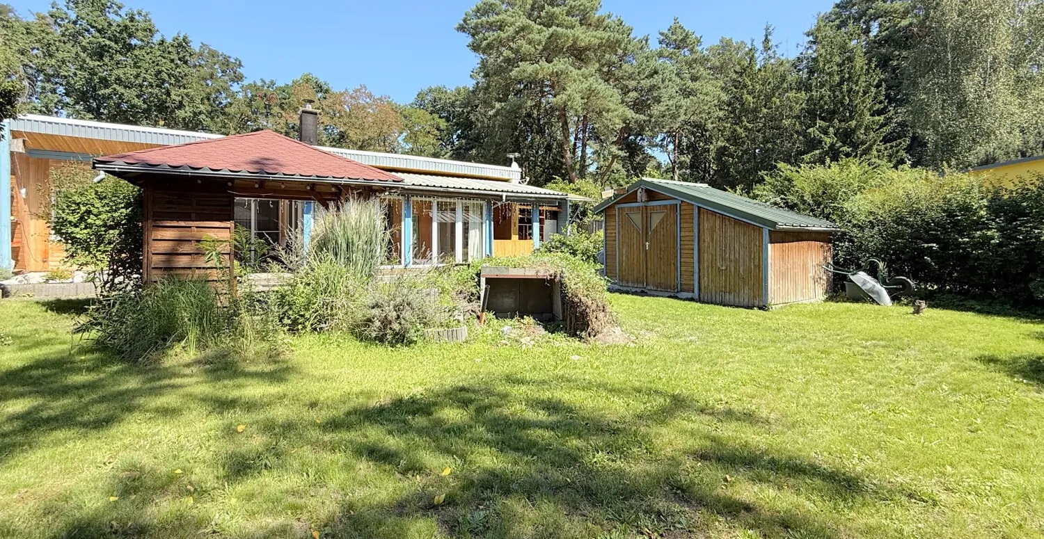 gepflegter Garten mit großer Freifläche