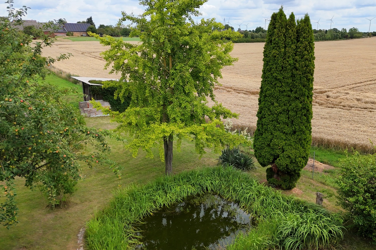 gepflegter Garten mit teich und traumhafter Aussicht
