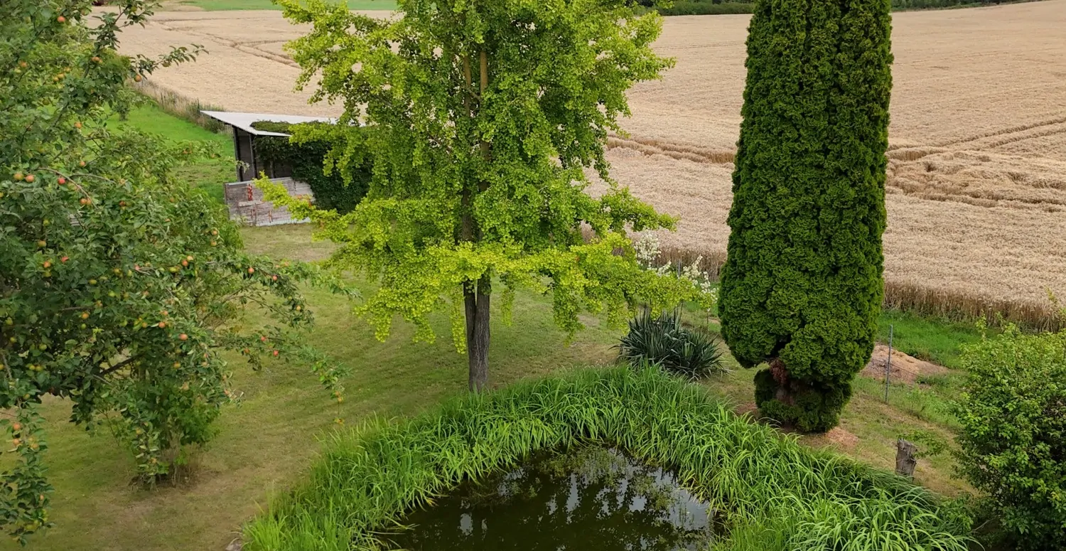 gepflegter Garten mit teich und traumhafter Aussicht