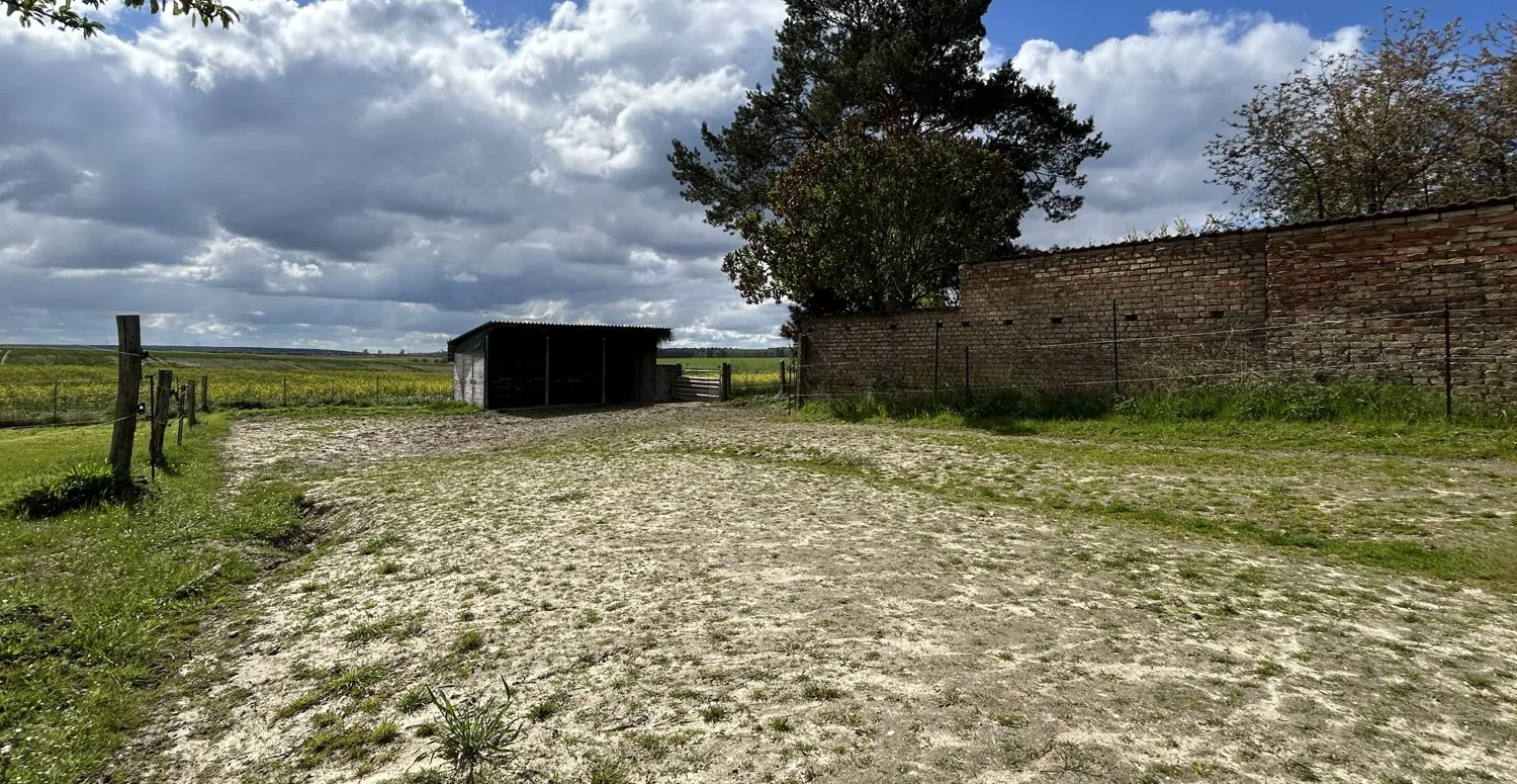 Offenpaddock mit Überdachung