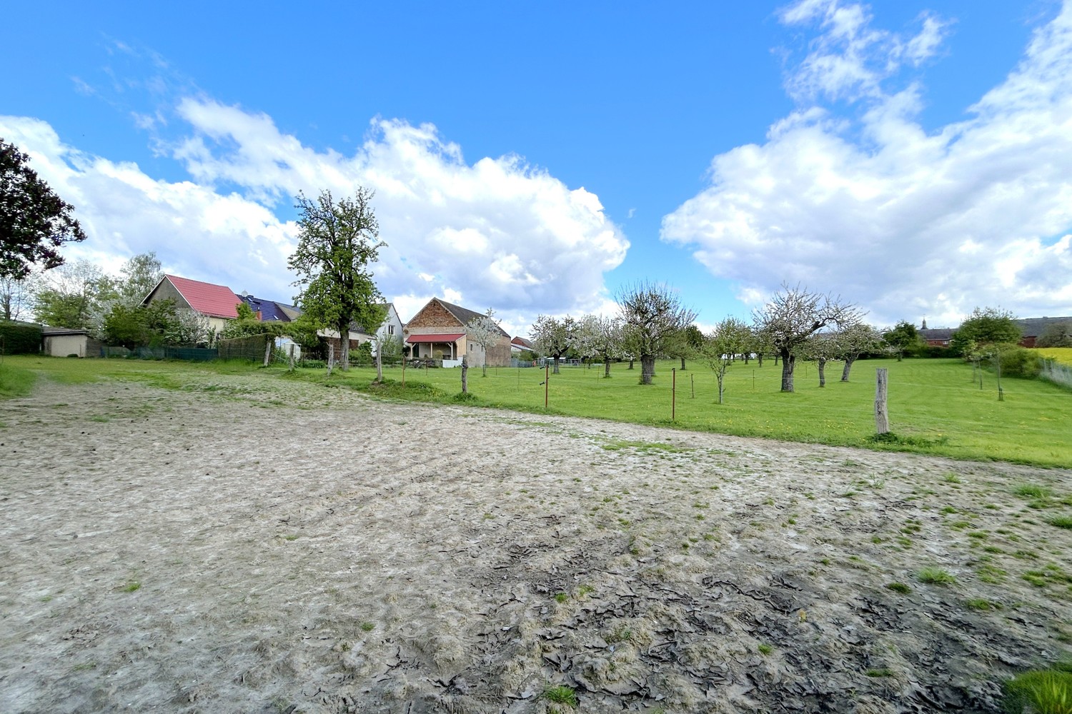 großzügiger Offenpaddock mit Reitplatz