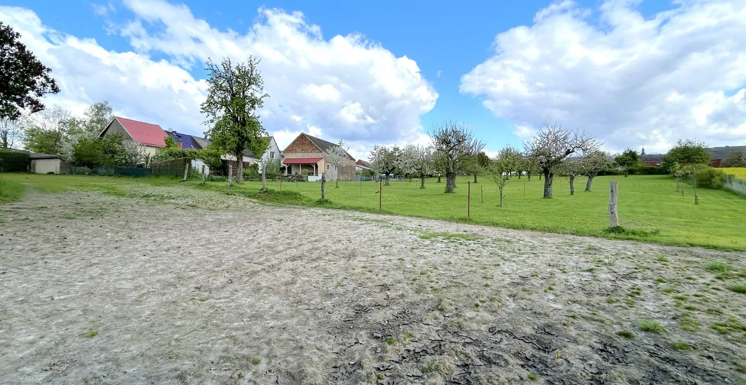 großzügiger Offenpaddock mit Reitplatz