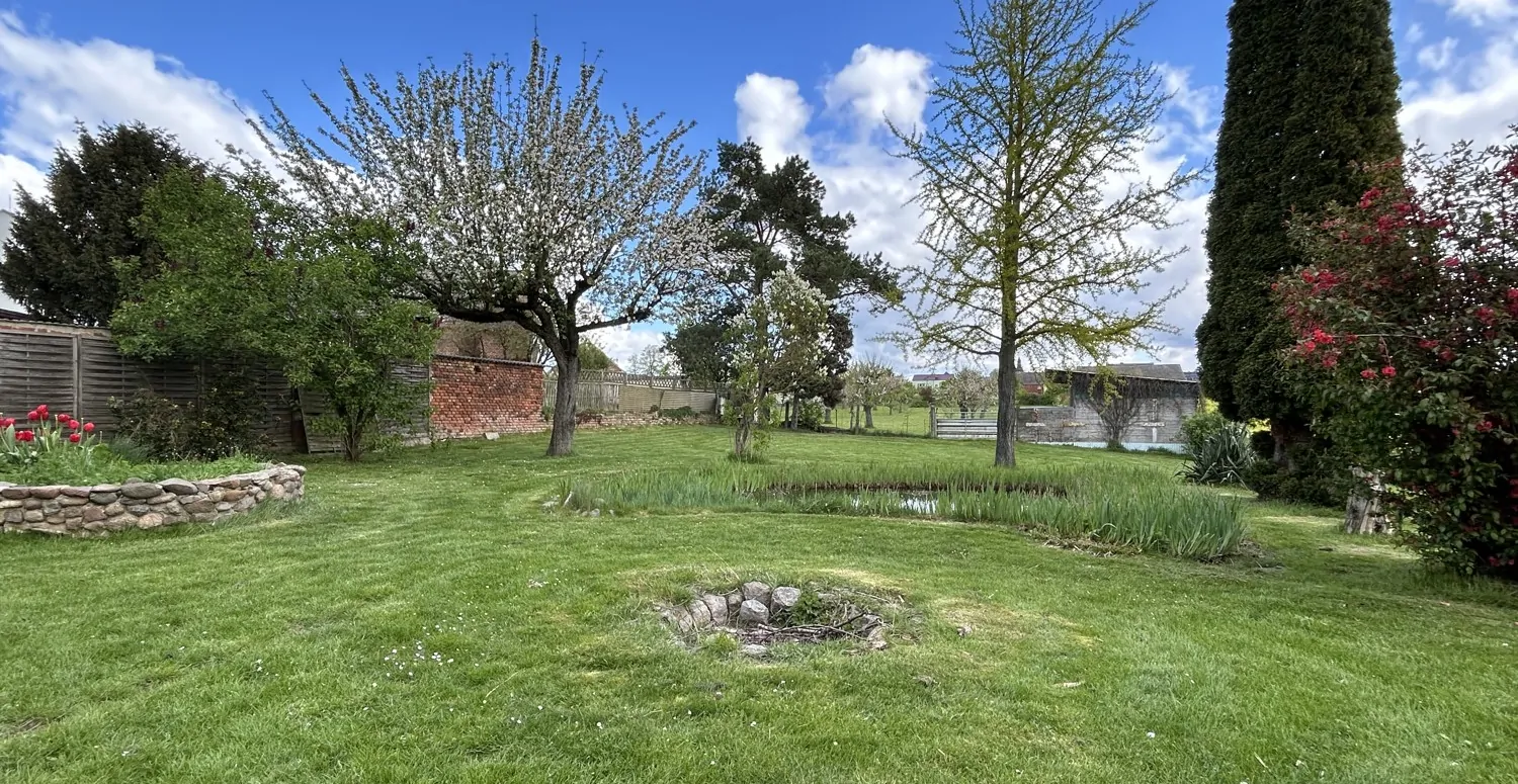 Freifläche im Garten