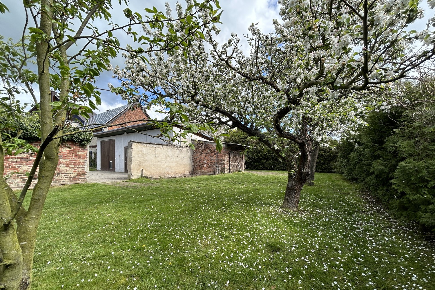 seitlicher Obstgarten als Verbindung zwischen Hof und Garten