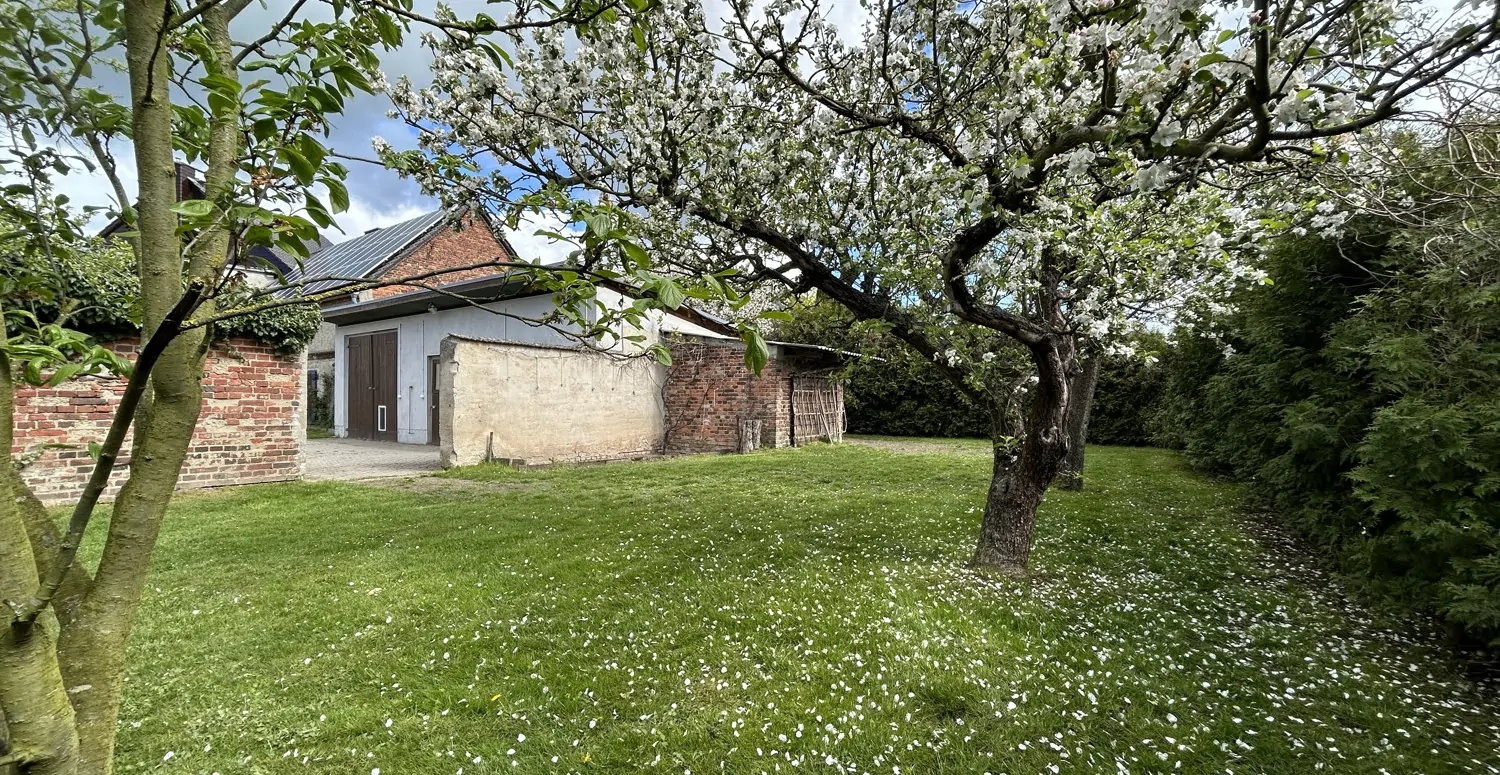 seitlicher Obstgarten als Verbindung zwischen Hof und Garten