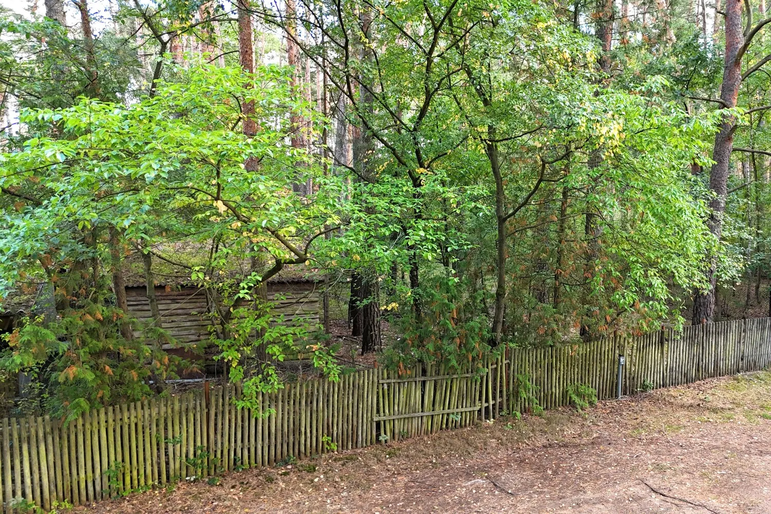 Wohnen im Einklang mit der Natur 
1.532 m² Baugrundstück ohne Bauträgerbindung
