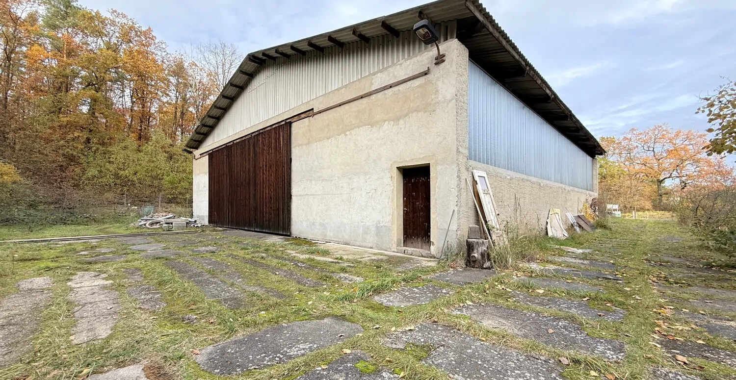 Großes Grundstück, große Halle und vielseitige Nutzungsmöglichkeiten