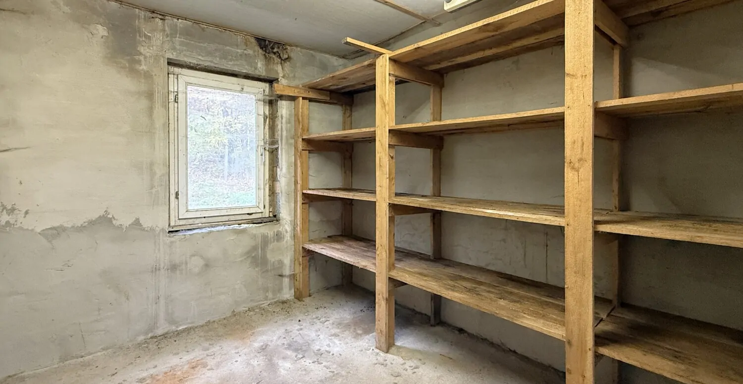 Großes Grundstück, große Halle und vielseitige Nutzungsmöglichkeiten