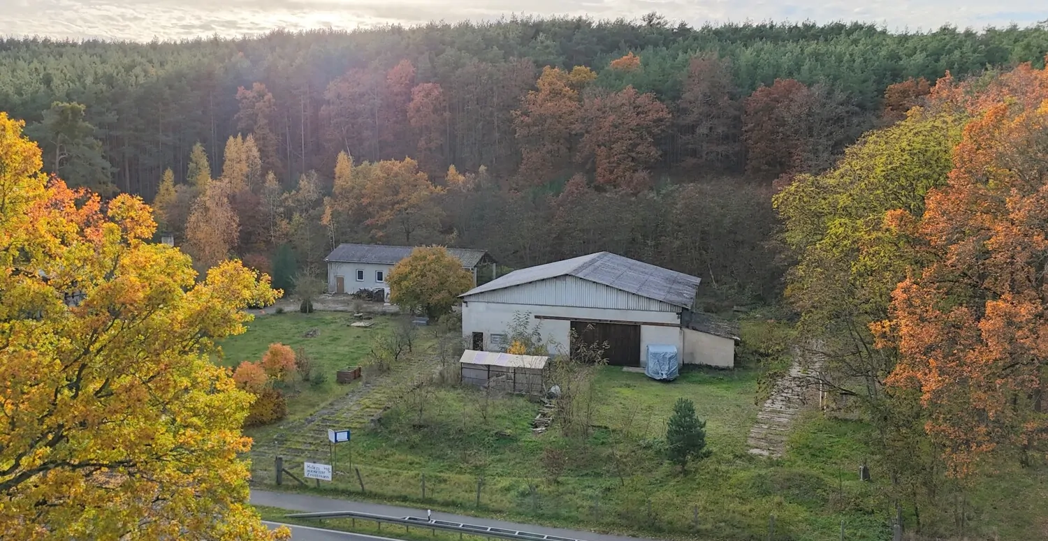 Großes Grundstück, große Halle und vielseitige Nutzungsmöglichkeiten